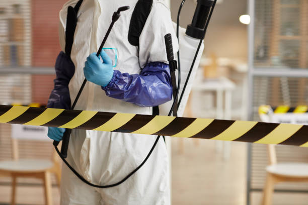 Professional Biohazard technician working in Grand Island, FL